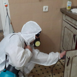 Дезинфекция от муравьев в квартире в Серебряных Прудах
