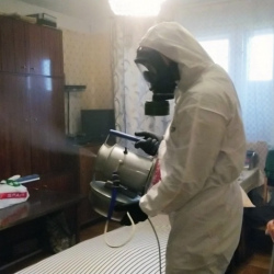 Дезинфекция от клопов в Серебряных Прудах