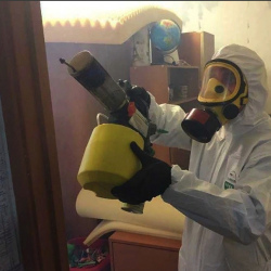 Уничтожение клопов в квартире. Серебряные Пруды